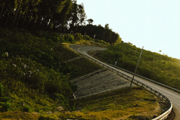 NZR_0500